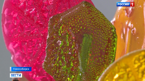 Повышающие иммунитет и снимающие стресс леденцы разработали новосибирские учёные