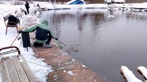 ЛОВЛЯ ФОРЕЛИ НА 1-м ВИП РК"ФИШКА ПЕТРЯИХА"