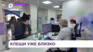 В Приморье началась вакцинация от клещевого энцефалита