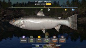 ФОРЕЛЬ ОЗЕРНАЯ ТРОФЕЙ!!!КУОРИ - РУССКАЯ РЫБАЛКА 4