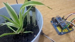 Авто-полив на Arduino