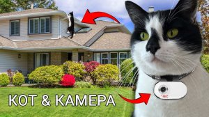 РЕАЛЬНЫЙ ДЕНЬ КОТА! КОТ ГУЛЯЕТ С КАМЕРОЙ 24 ЧАСА ЧЕЛЛЕНДЖ
