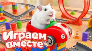 ХОМЯК ВЫБИРАЕТСЯ ИЗ СЕКРЕТНОЙ ХОМЯЧЕЙ ТЮРЬМЫ ! Играем ВМЕСТЕ 🐹 Помогаем выбраться из лабиринта 11