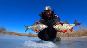 НАШЁЛ ЛЁД. ОСТАВИЛ ЖЕРЛИЦЫ И ФОТОЛОВУШКУ НА НОЧЬ. Зимняя рыбалка на плотву и окуня. Жерлицы на щуку