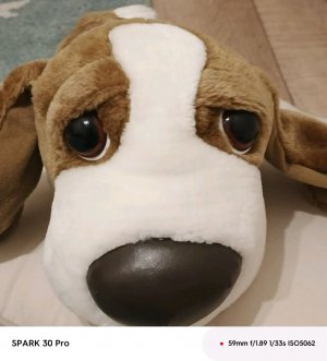 трансляция