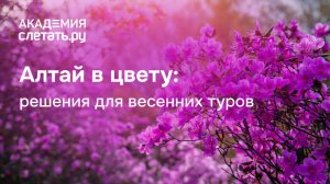Алтай в цвету: решения для весенних туров. Вебинар 26.02.26