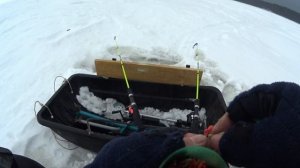 Манола. Рыбалка 27.2.26.