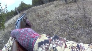 Охота на зайца тумака, беляка и русака в лесу с гончими. Мишаня в деле. Сезон 2025-2026 №235