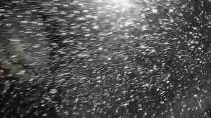 Мопеды сериал | Серия 1762