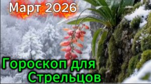 Стрелец! Гороскоп на март 2026 года!