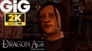 Dragon Age Origins Ремастер в 2K #24 - Хартия