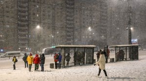 Снежный паралич: Петербург накрыла сильная метель