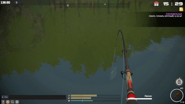 Недельный квест на голавля Чехия