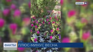 Синоптик Попова рассказала, ожидается ли на Кубани потепление до конца зимы