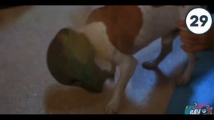 2 раунд маска