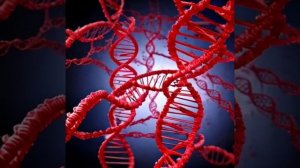 Любовь в эволюции человека.