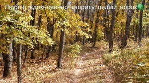 Ироничное стихотворение