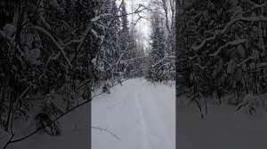 Поход с Джеком на Чертов палец.mp4