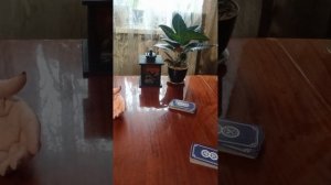 Таро.Ваша жизнь.