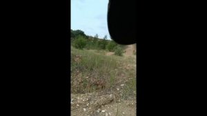 Удачная экспедиция за древними окаменелостями