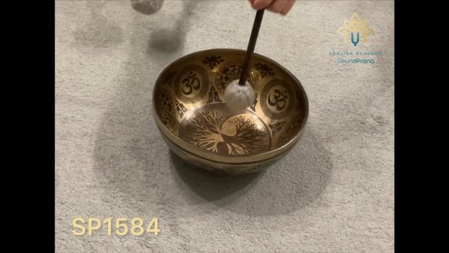 SP1584 Тибетская поющая чаша ручной работы