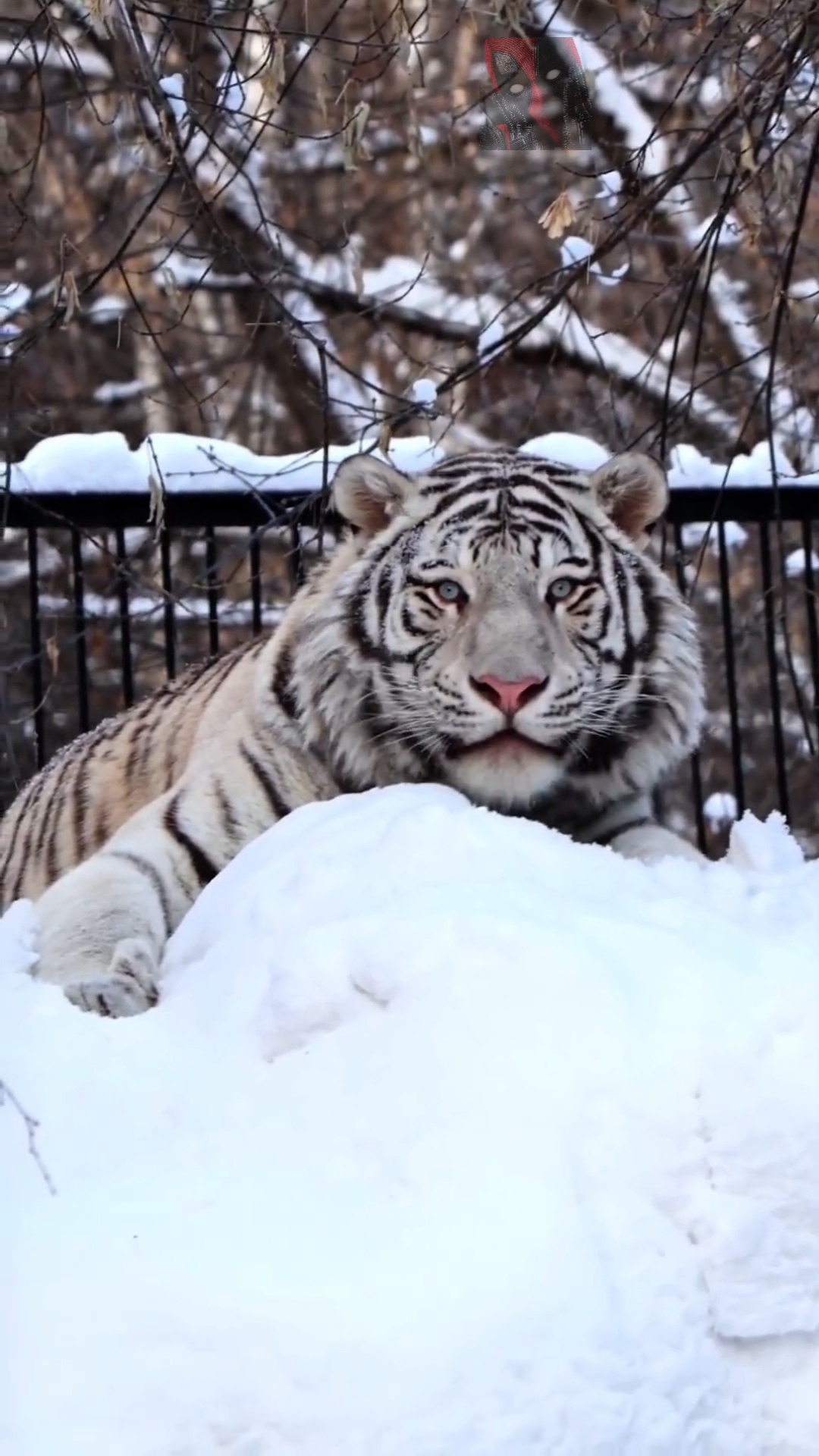Вкусного всем Аппетита 😼🫶😎