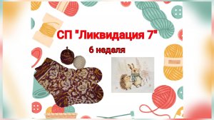 Вязовлог/СП "Ликвидация 7"/6 неделя/Готовы носки жаккардом/Итоги января и февраля