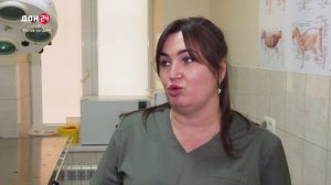 Льготная стерилизация