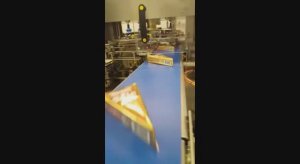 Автомат для упаковки мягкого сыра Brie (Бри) треугольной формы