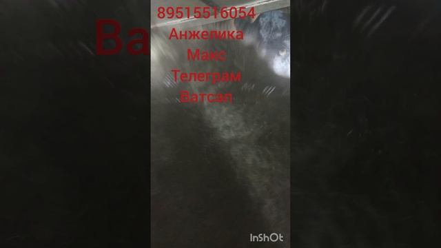 пуховые изделия