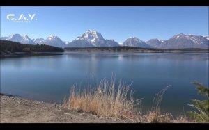 LIVE: C.A.Y. Records Digital Record Label