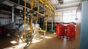 Maxi Life Возрождения