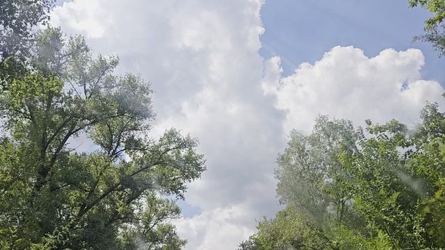 Воронежская область