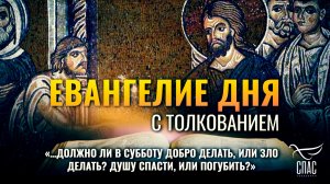 «…должно ли в субботу добро делать, или зло делать? душу спасти, или погубить?» / Евангелие дня