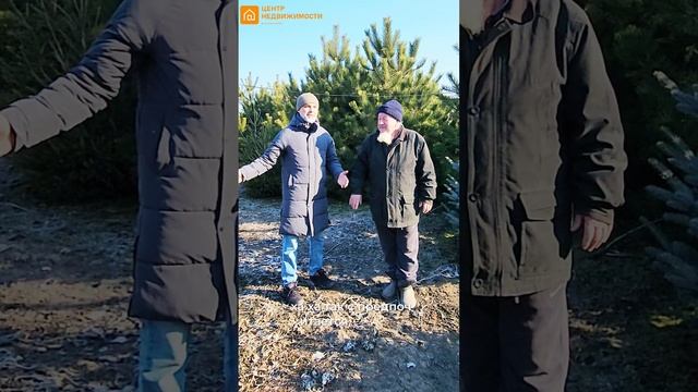 Обзор недвижимости с бизнесом - Питомник декоративных деревьев и саженцев в Краснодарском крае