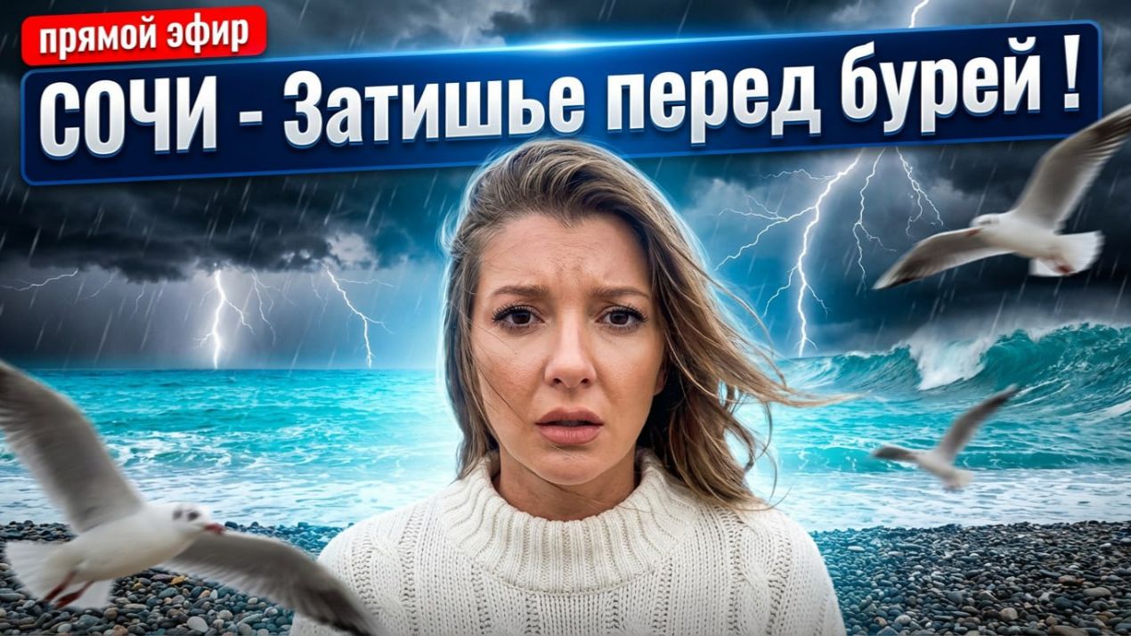 СОЧИ - Затишье перед бурей! #сочи #всеосочи смотреть онлайн