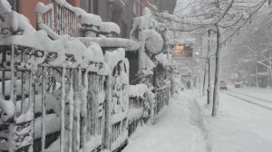 Снежная буря в Нью-Йорке 2026. Сильный снегопад на Манхэттене❄️🌨️