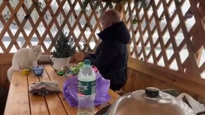 Журавлёв life. Всё время пришло. Прощай зима. Клининговая компания. Одна не справляюсь-вдвоём веселе