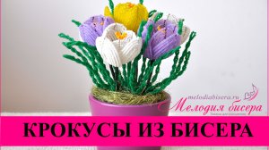 КРОКУСЫ из БИСЕРА - мастер класс