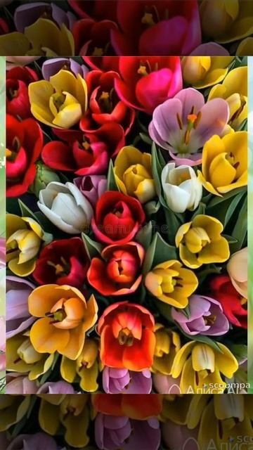 СЧАСТЬЯ ВСЕМ!!!!