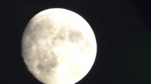 Ноябрьский Вечерний Восход Луны От 03 11 2025 Года.