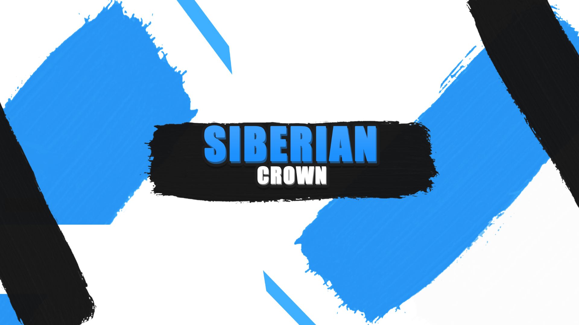 S.T.A.L.K.E.R. Anomaly