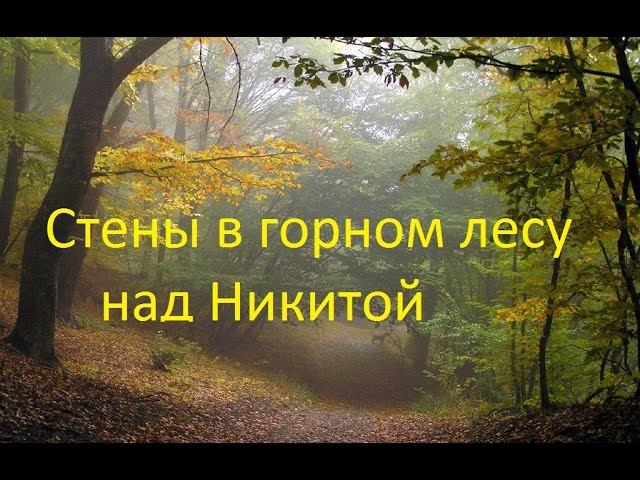 Древние стены в лесу над Никитой