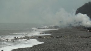 Донна Анна на побережье Чёрного моря зимой.