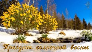 Праздник солнечной весны — песня-подарок к 8 Марта. Премьера 2026 (Михаил Фоменко)