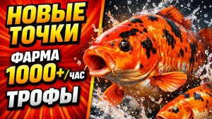 🤑 НОВЫЕ ТОЧКИ для ФАРМА РР4! Раздача ТРОФОВ • МЕДНОЕ! Фарм Серебра в Русской Рыбалке 4