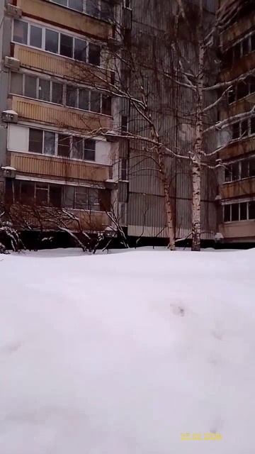 Moscow, Altufyevsky district 25.02.2026