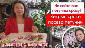КОГДА СЕЯТЬ ПЕТУНИЮ, ЧТОБЫ БЫЛА ПЫШНОЙ ВЕСЬ СЕЗОН И НЕ УВЯДАЛА ДО МОРОЗОВ