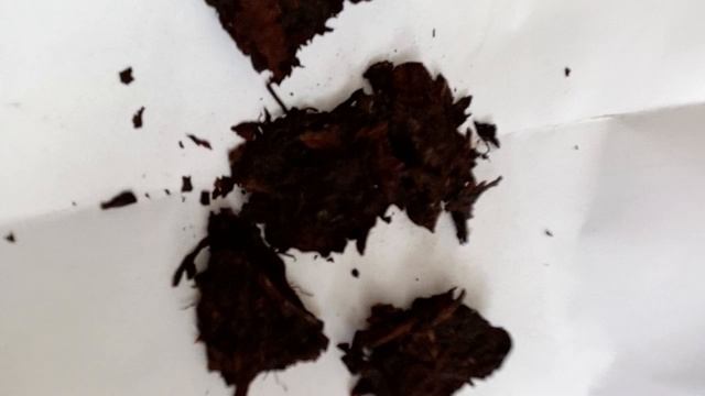 Пуэр С ПЛЕСЕНЬЮ!