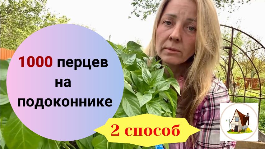 19. Посев перцев 2 способ. Рассада на продажу.
